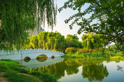 郑州市西流湖公园